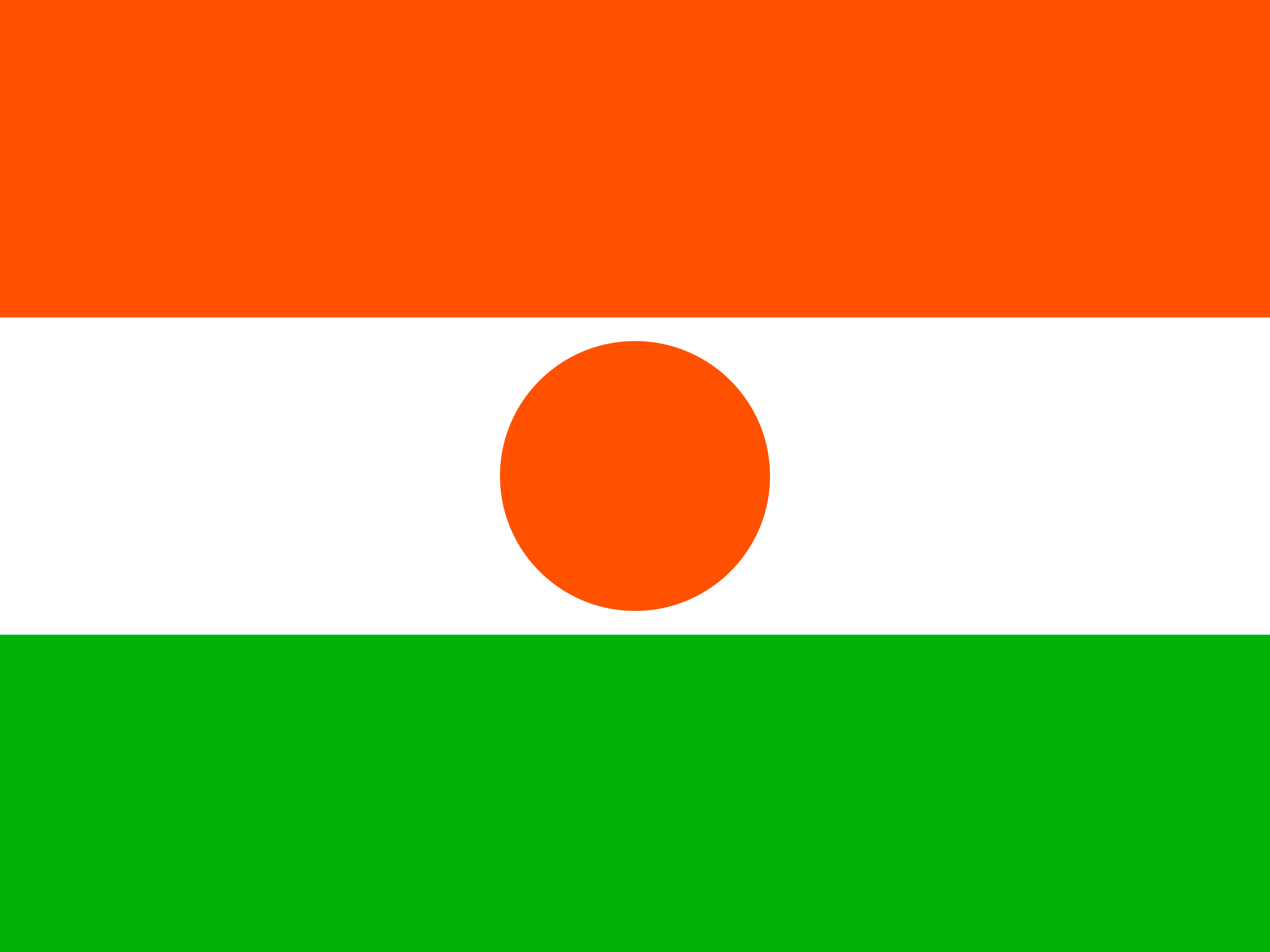 Flag of Niger